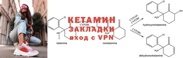шишки Нефтегорск